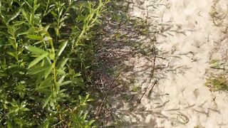 the guy saw the girl on the beach and decided to show her how he jerks off a dick