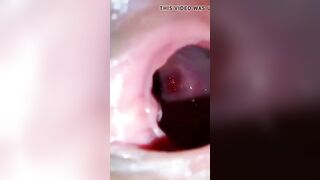 Pussy Close up (inside view of vagina)