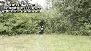 Marion fucked by 15 strangers in the park