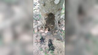 Girl pissed near a big old tree with one leg up