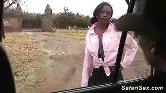 african babe picked up for car sex