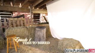 Amish Girls Go Anal Part 1 - Time To Breed