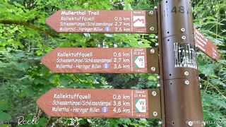 PREVIEW: CRUEL REELL - SIGHTSEEING AA LA REELL - THE MULLERTHAL TRAIL COMPILATION