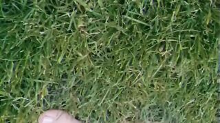 Sexy young feet playing in the grass