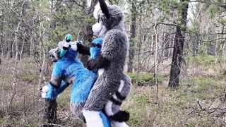 Horny furries fuck in the wild