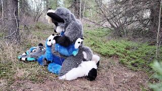 Horny furries fuck in the wild