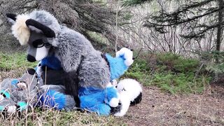 Horny furries fuck in the wild