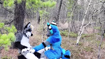 Horny furries fuck in the wild