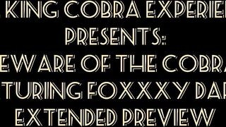Beware Of The Cobra: King Cobra Visits Foxxxy Darlin Extended Preview