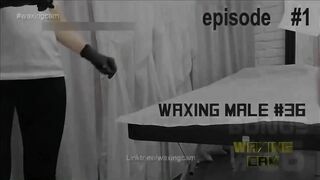 #36 Bonus Waxing Male