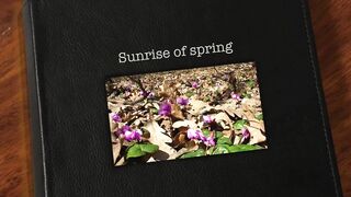 ASMR ???? Nature porn ???? Fantasy "Sunrise of Spring" ASMRotica (1st relaxing part) X-ASMRcom