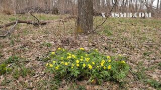 ASMR ???? Nature porn ???? Fantasy "Sunrise of Spring" ASMRotica (1st relaxing part) X-ASMRcom