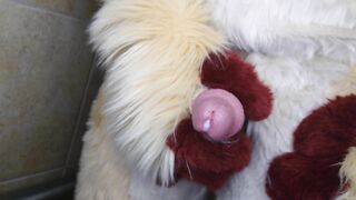 Pissing and cumming for you in fursuit