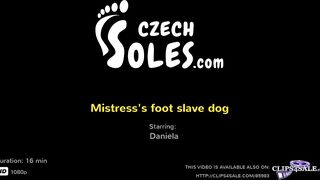 Mistress's foot slave dog (foot slave, high heels, shoe worship, shoe licking, femdom, footdom,feet)