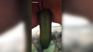 I insert a cucumber in my pussy