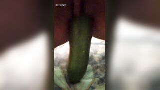 I insert a cucumber in my pussy