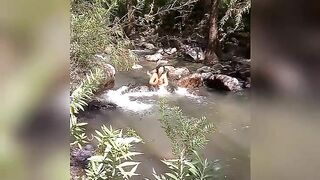 Enjoying the river