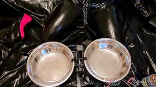 Slave Slut-Orgasma Celeste in black latex eating dog food and drinking piss