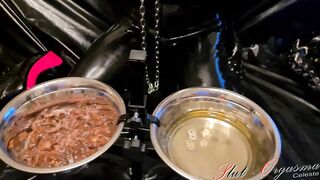 Slave Slut-Orgasma Celeste in black latex eating dog food and drinking piss