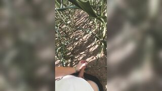 19 yr old cums in public corn field