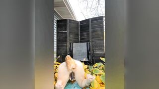 Redheaded Fox Gets Fucked In The Garden